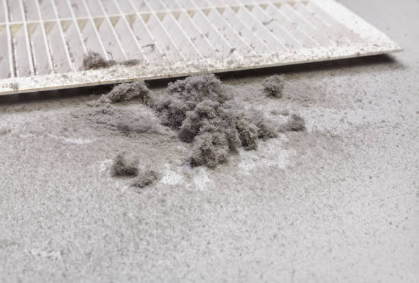 Best Home Air Vent Cleaning  in Montgomery, OH